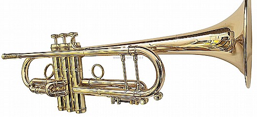 ������ ������� CTR-8880H-GSS-Bb-L