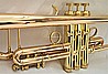 חצוצרה מקצועית CTR-8880H-GSS-Bb-L