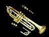 חצוצרה מקצועית CTR-7660L-GSS-Bb-SL