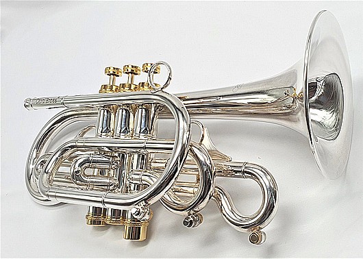 ����� CCR-7772R-YSS-Bb-SG - 5.25"D