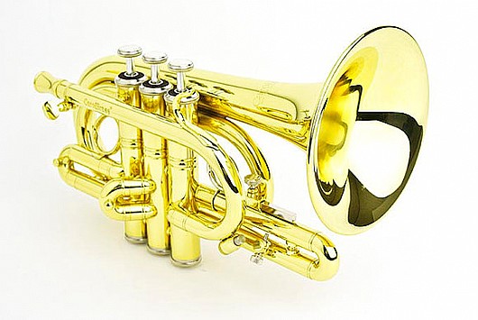 ������ ��� ��� CPT-4000-YLS-C-L