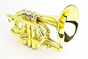 ������ ��� ��� CPT-4000-YLS-C-L