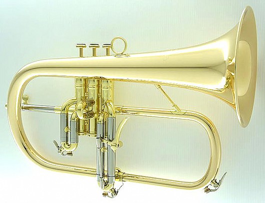 ��������� CFL-6200-GSS-Bb-L 