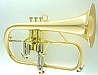 ��������� CFL-6200-GSS-Bb-L 
