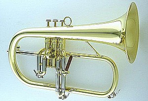 ��������� CFL-6200-YSS-Bb-L