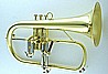 ��������� CFL-6200-YSS-Bb-L