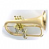 פלוגלהורן CFL-6200-GSS-Bb-SLB