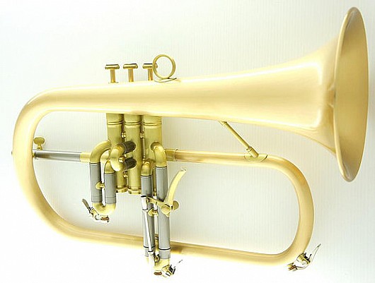 ��������� CFL-6200-GSS-Bb-SL 
