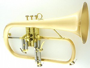 ��������� CFL-6200-GSS-Bb-SL 