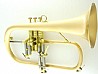��������� CFL-6200-GSS-Bb-SL 