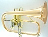 ��������� CFL-6200-RSS-Bb-L 