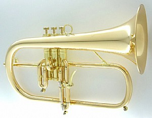  ��������� CFL-8880-GSS-Bb-L