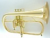  ��������� CFL-8880-GSS-Bb-L