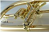  ��������� CFL-8880-GSS-Bb-L