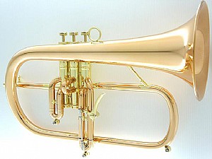��������� CFL-9990-RSS-Bb-L 