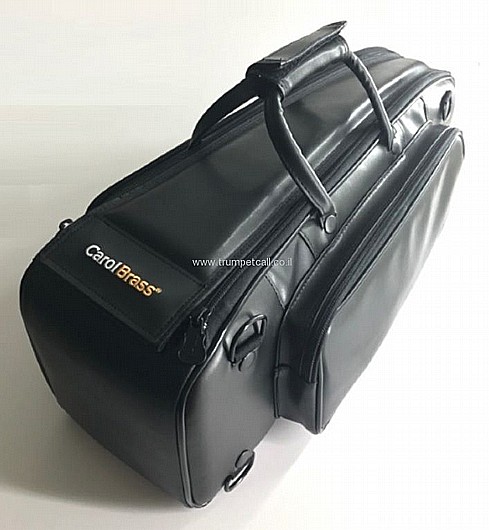 Carrying on Gig Bag