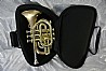 Pocket Trumpet Gig Bag