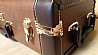 Trumpet Delux Brown Leather-like Case