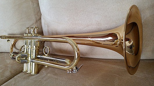 ������ ������� CTR-5200V-GLT(D)-Bb-L - 5.25"