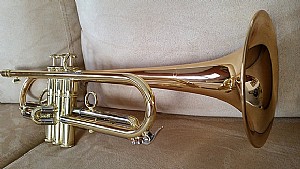 ������ ������� CTR-5200V-GLT(D)-Bb-L - 5.25"