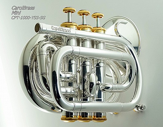 ������ ��� ���� CPT-1000-YSS-SG Bb key