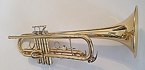 ������ ������ - Trumpetcall TC-TR-100