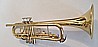 חצוצרה לתלמיד - Trumpetcall TC-TR-100
