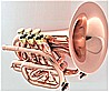 CPT-3000-GLS(D)-Bb-CP  -Pocket Trumpet