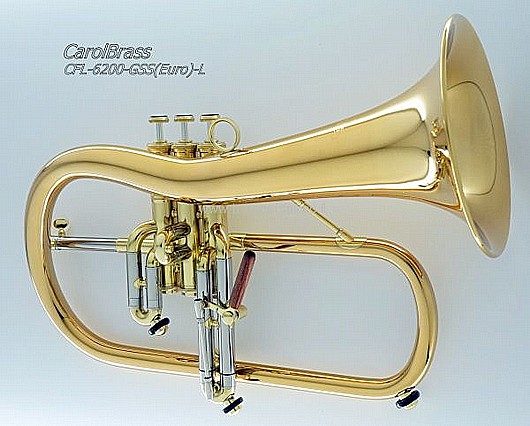 ��������� CFL-6200-GSS(Euro)-Bb-L