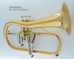 ��������� CFL-6200-GSS(Euro)-Bb-L