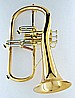 פלוגלהורן CFL-6200-GSS(Euro)-Bb-L
